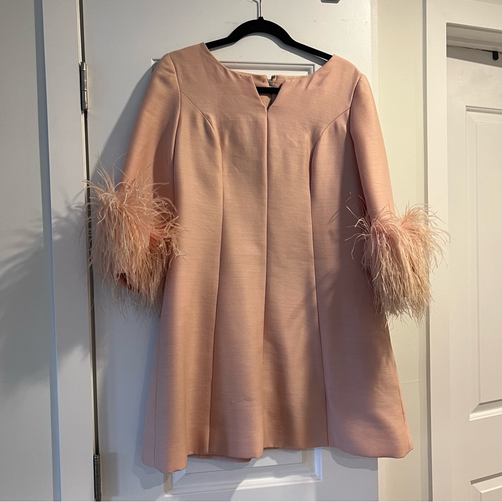 Vintage Pink Mini Dress with Feathered Sleeves